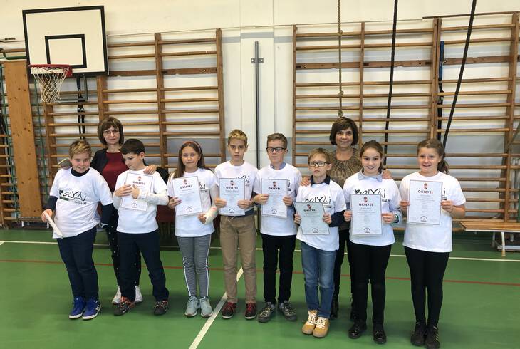 Bolyai Matematika Csapatverseny - Megyei fordul