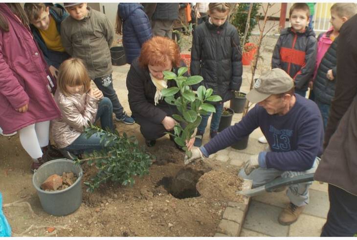 Beindult a rozgonyis oxigngyr